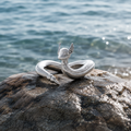 Dragonair Ring