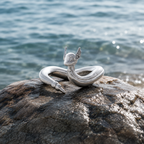 Dragonair Ring